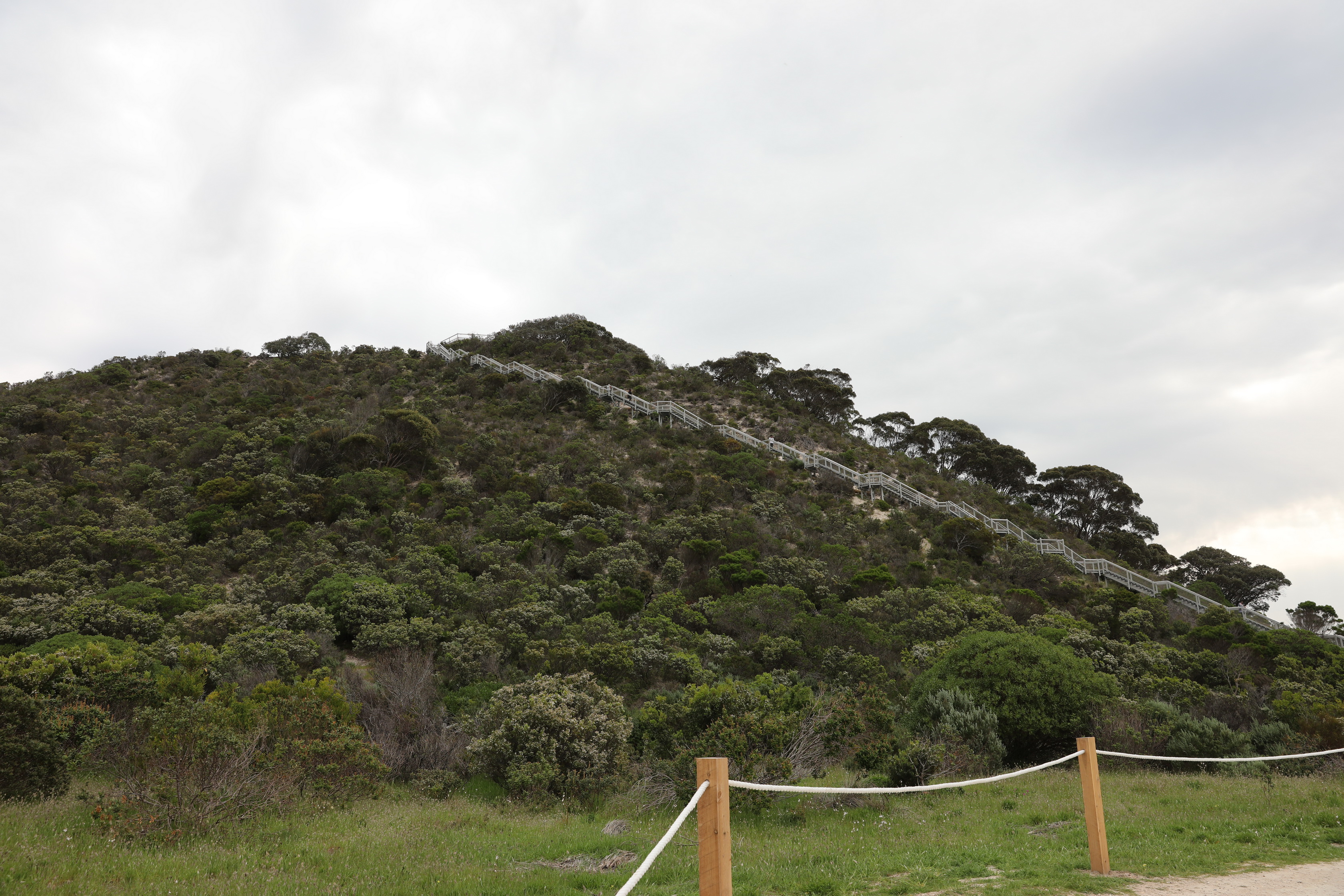 2019 10 05 15 20 00 Canon EOS 5D Mark IV 0013